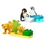 Lego Lego Duplo Town 10442 Familien wilder Tiere: Pinguine und Leeuwen - afbeelding 9