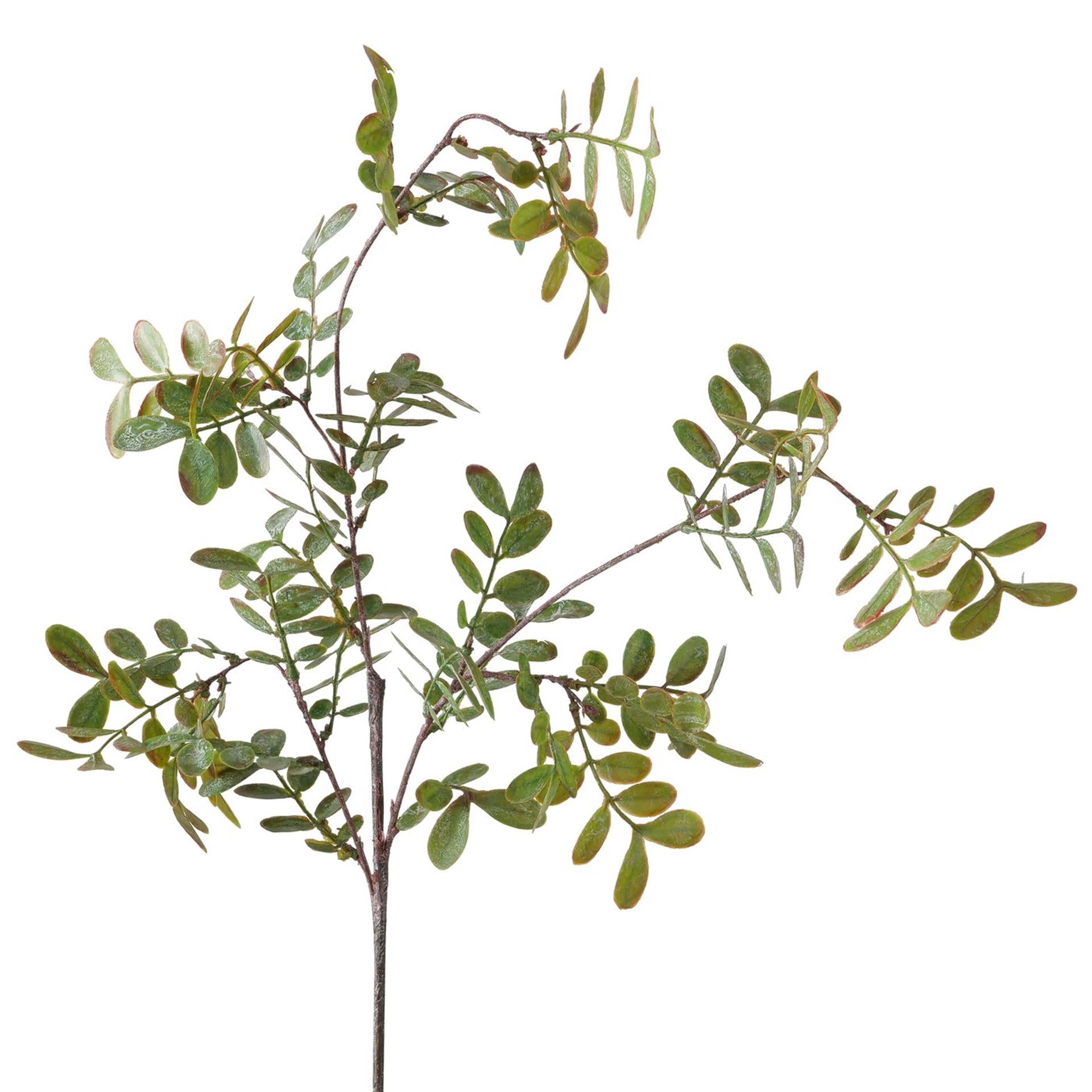 Boltze Wohndekoration Astblatt l94cm