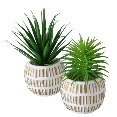 Boltze Home Kunstpflanze Sukkulente H13,3cm