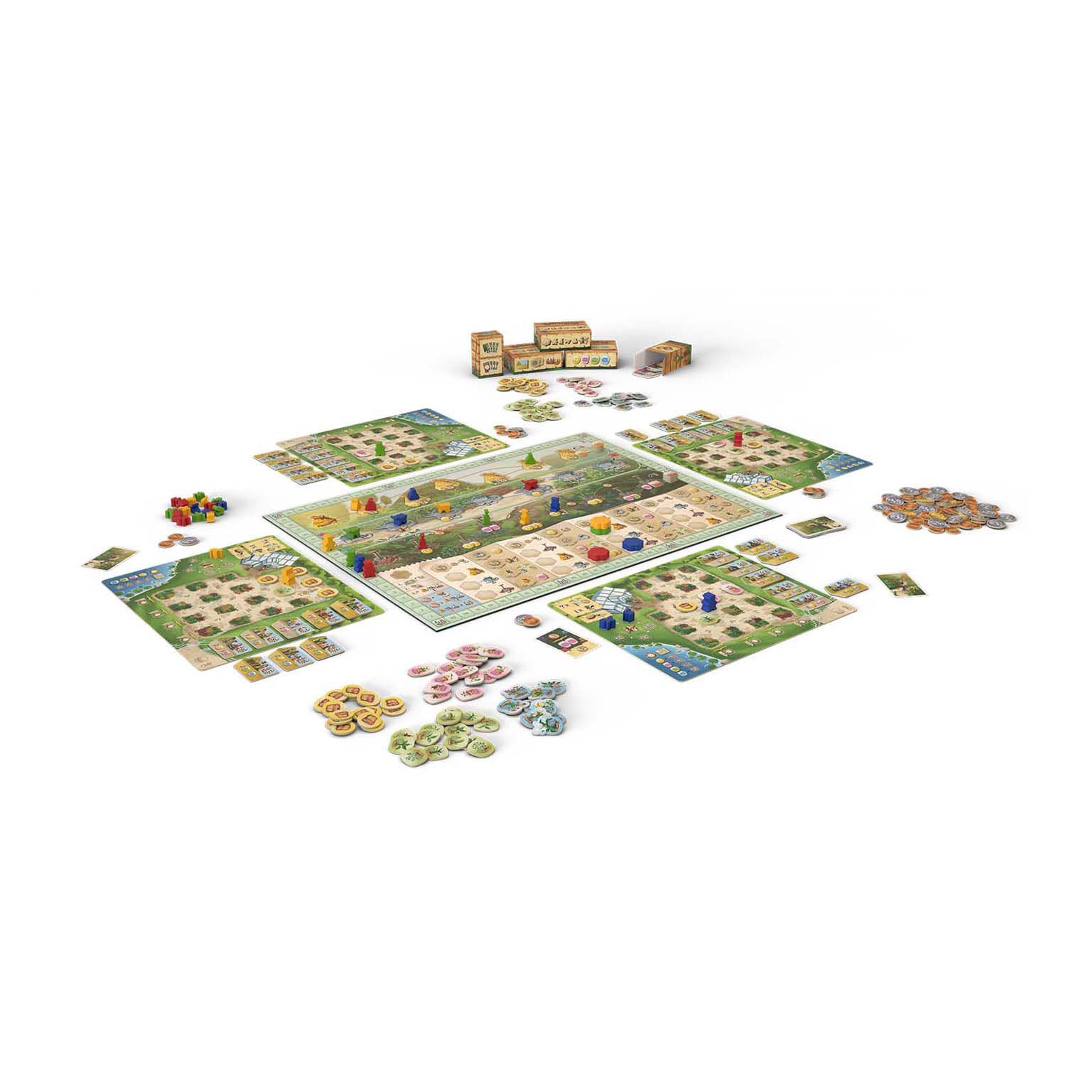 999games 999 Games Botaniker-Brettspiel