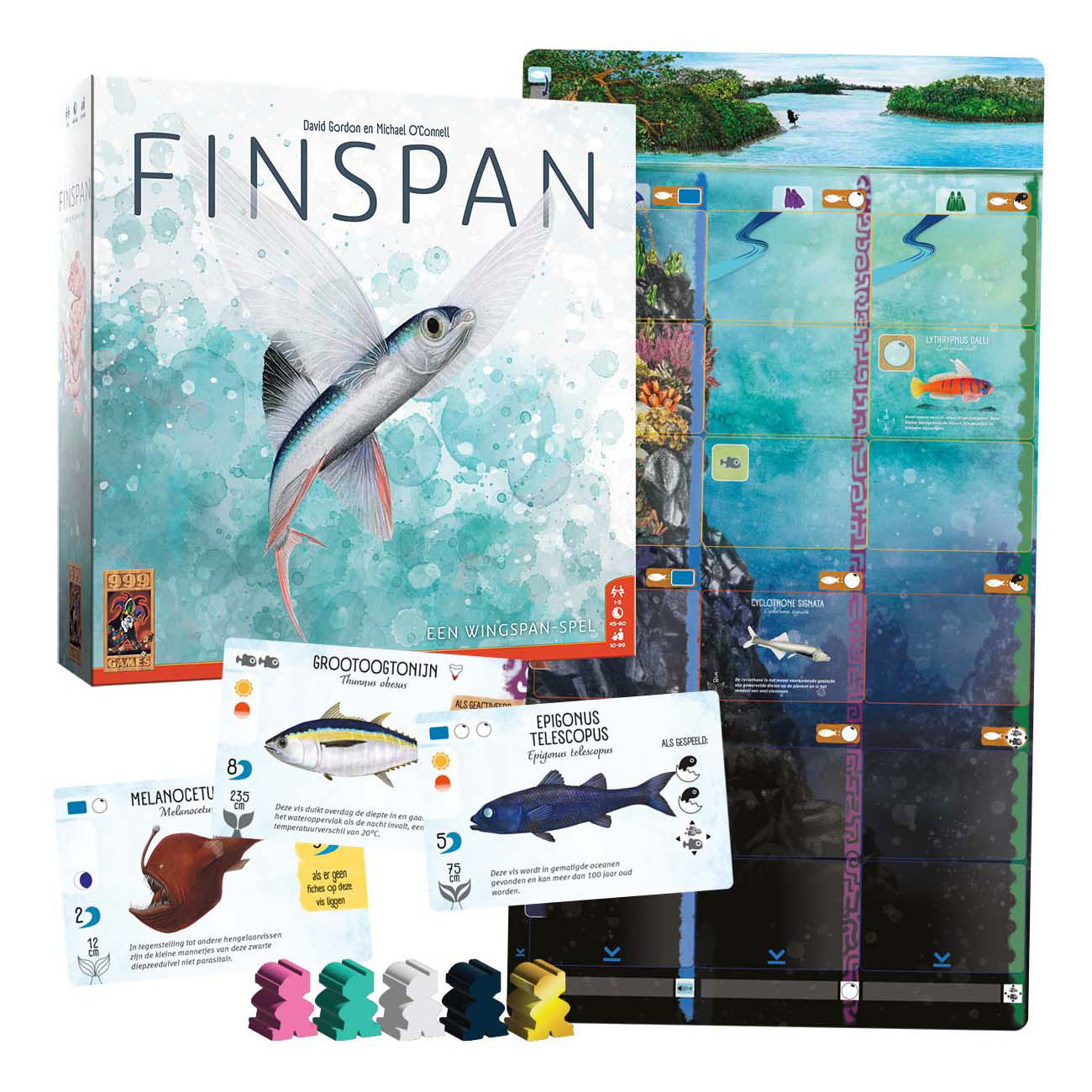 999Gaames 999 Games Finspan Bordspel
