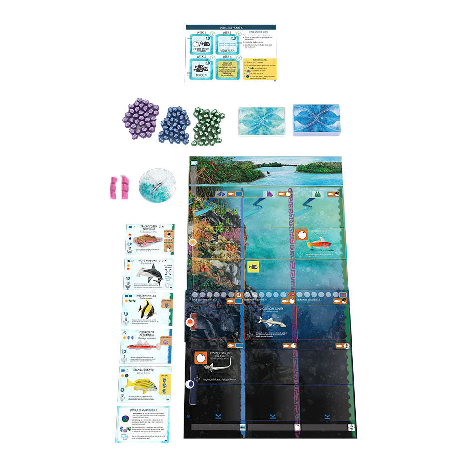 999games 999 Spiele finspan Erweiterung: Haie und Riffe Brettspiel