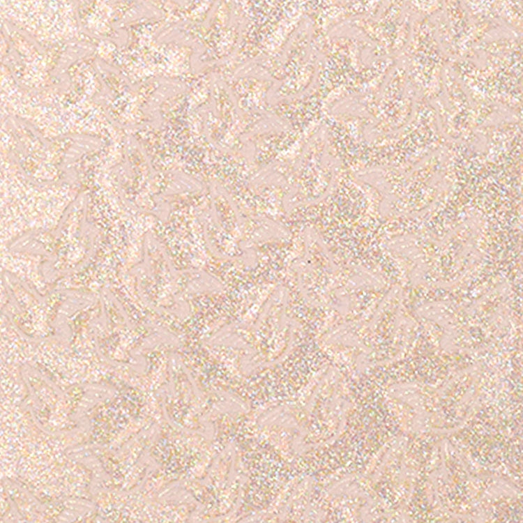 Vaessen creative • Aufkleber 10x23cm 10 Stück Vögel Iris transparent silber