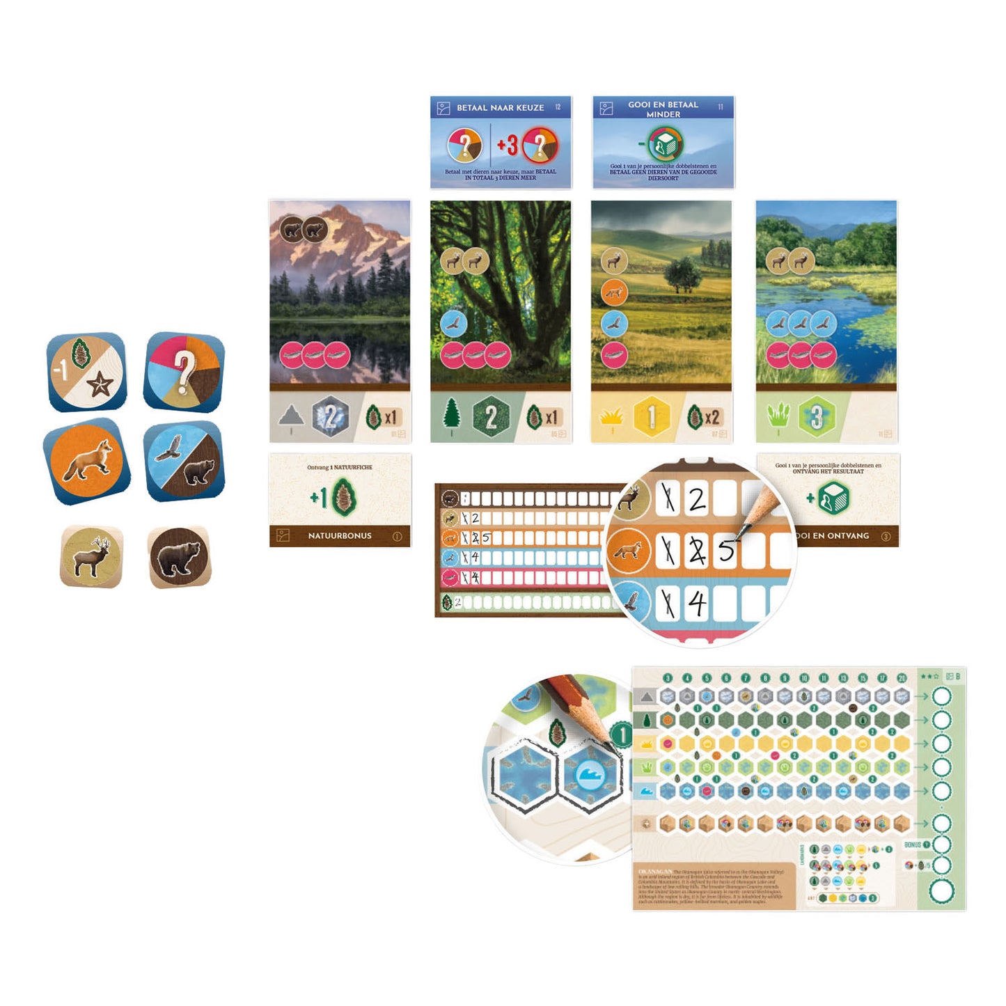 White Goblin Games Cascadia – Rolling Hills Brettspiel
