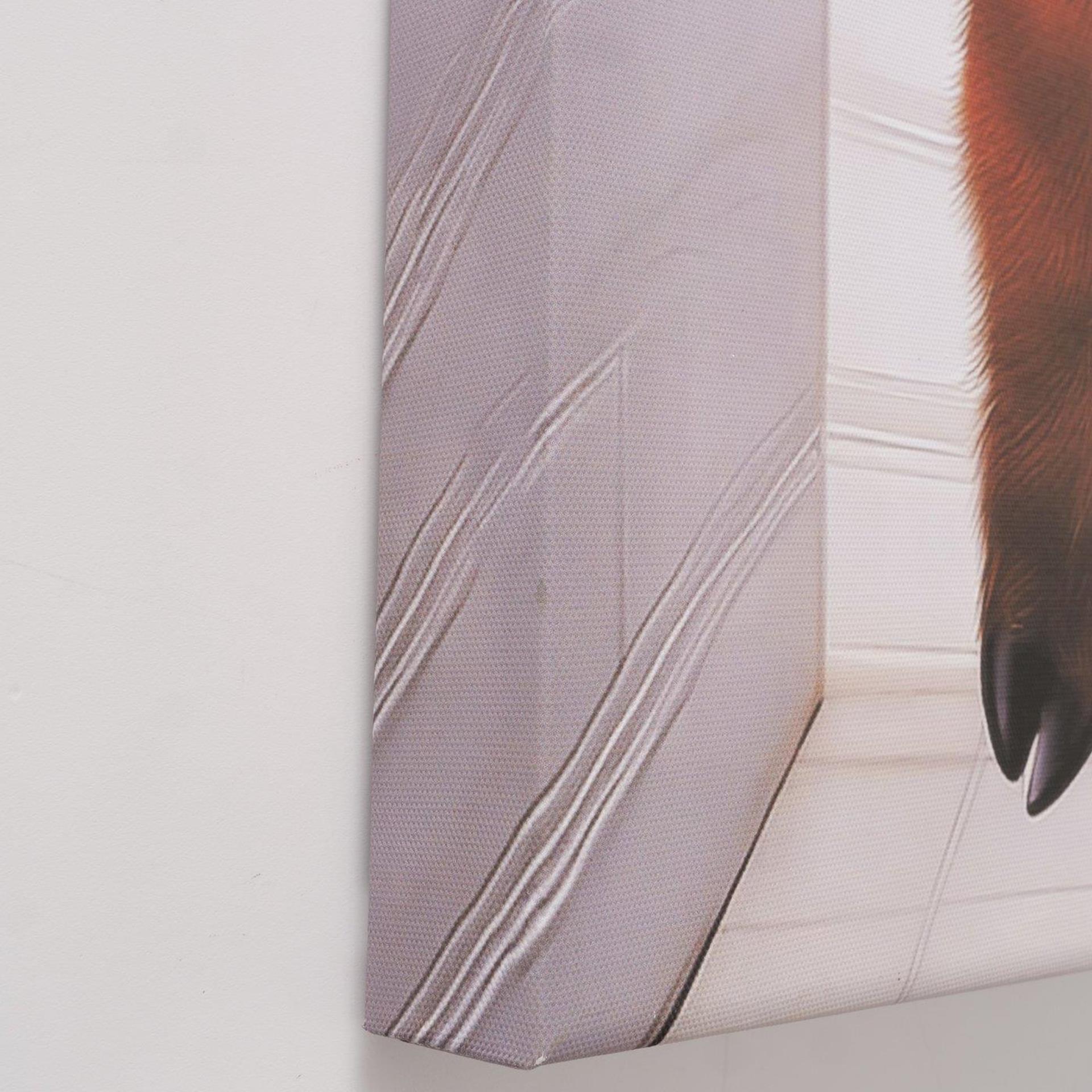 Boltze Home Wanddeko Lumpi 4x50x70cm