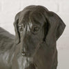 Boltze Startseite Figur Dackel schwarz 38x24cm