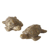Boltze Startseite Figur Schildkröte 4x6x2,5cm