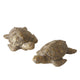 Boltze Startseite Figur Schildkröte 4x6x2,5cm