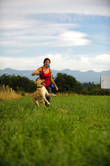 Chuckit Dog Spielzeug den Whistler - afbeelding 3