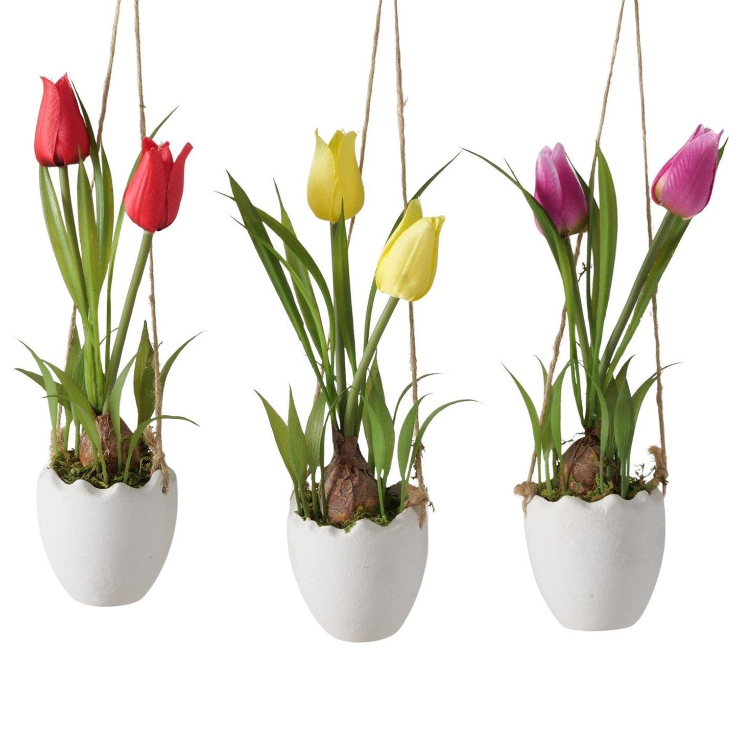 Boltze Home Topfpflanze Tulpe ø6xh23cm