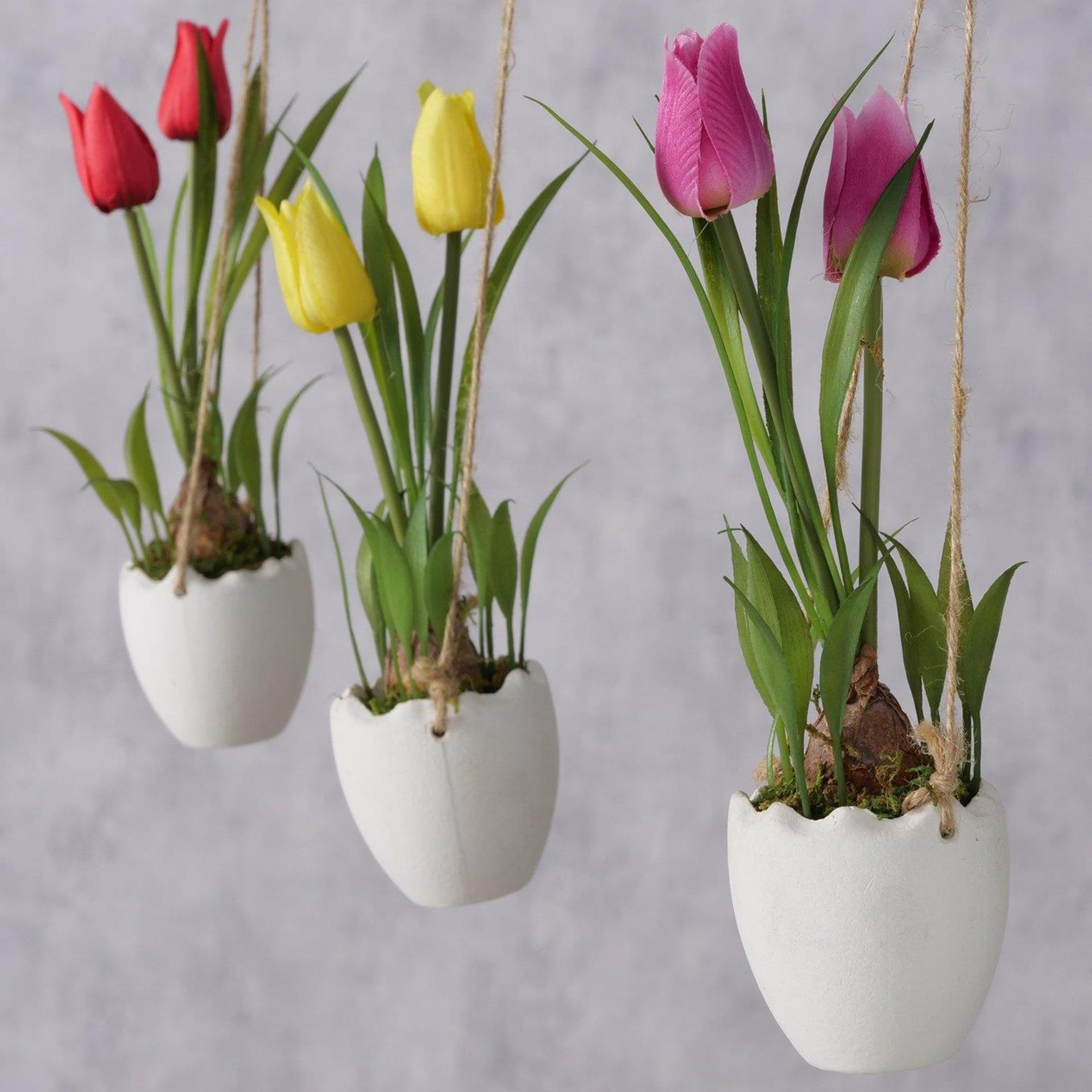 Boltze Home Topfpflanze Tulpe ø6xh23cm