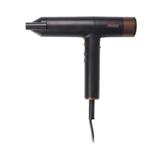 Prinzessin Airstyler Pro