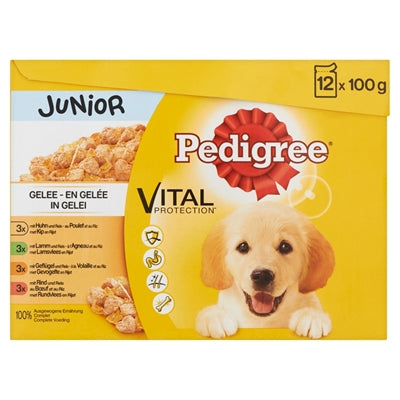 Pedigree Multipack -Mahlzeitsbeutel Junior in Gelei