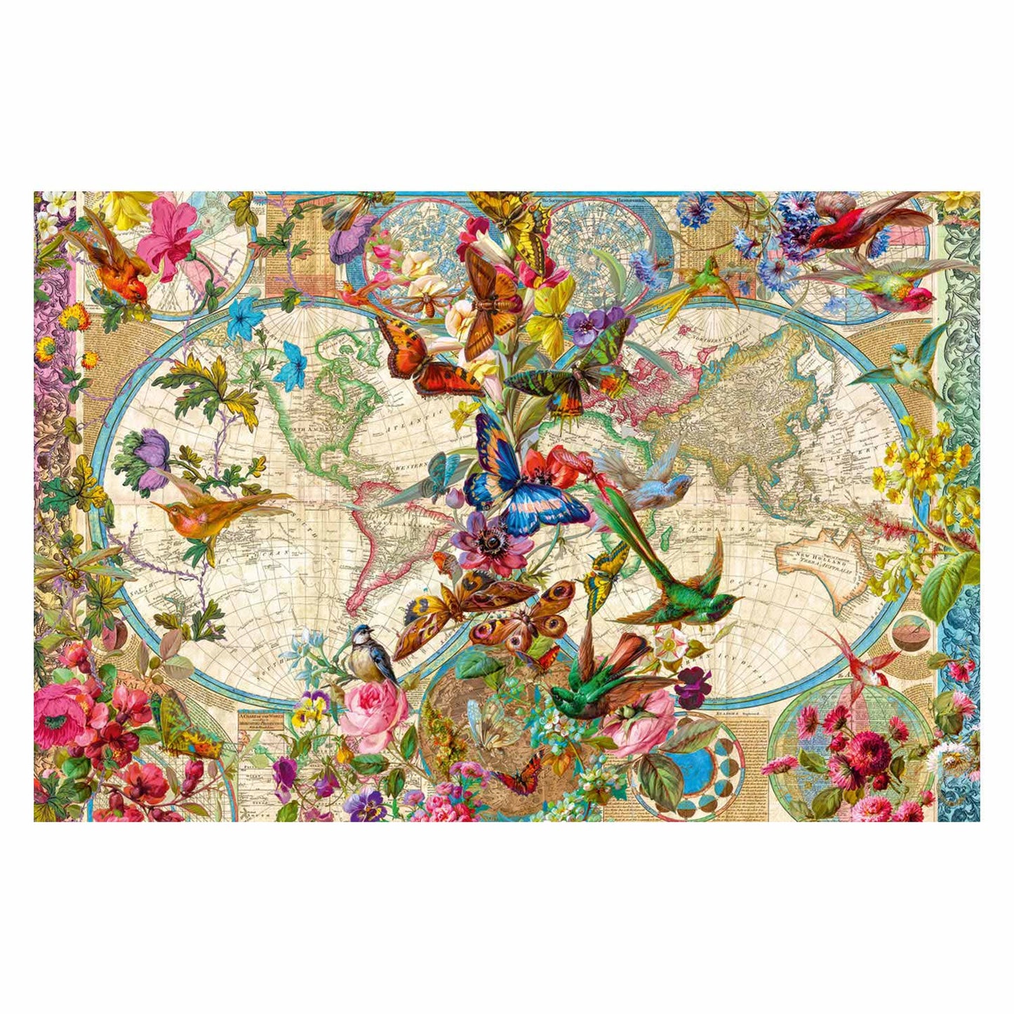 Plora und Fauna World Map, 3000st.
