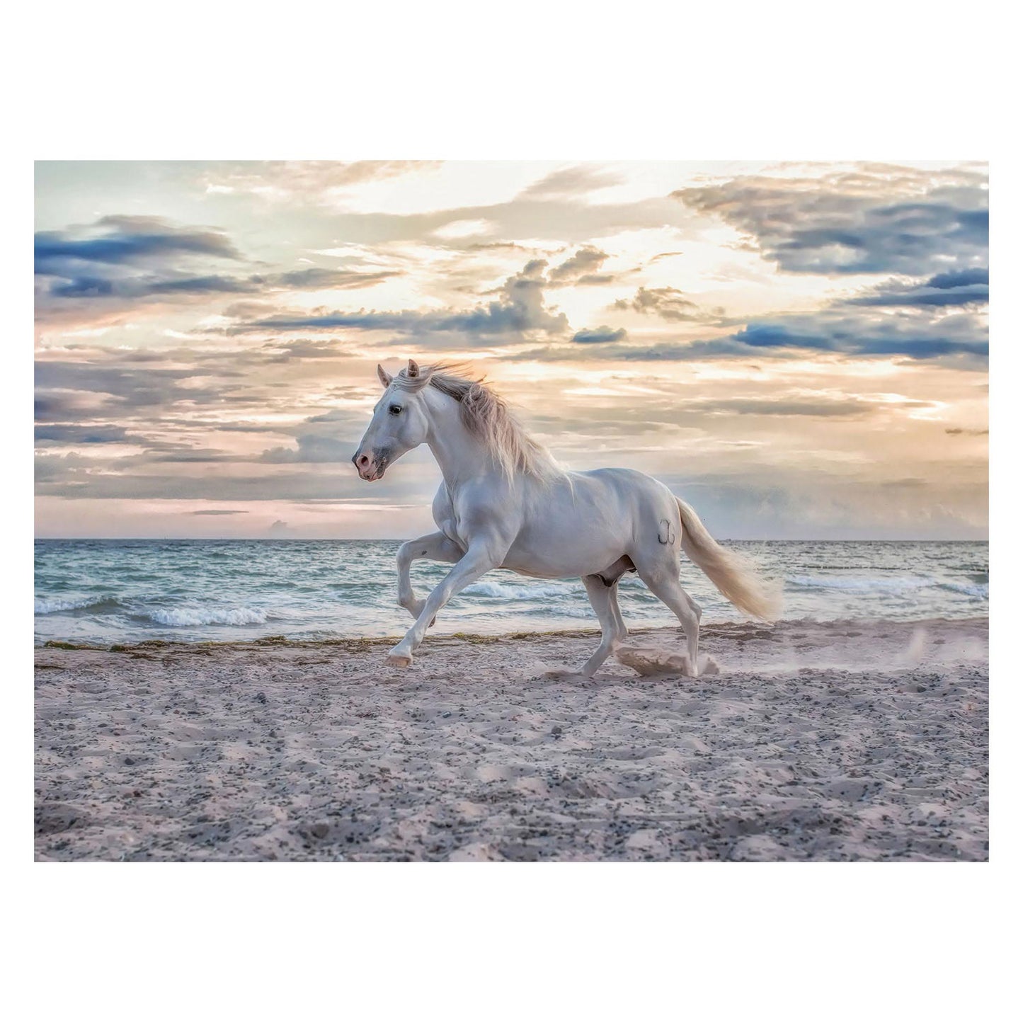 Ravensburger - Pferd am Strandjigsaw 500st.