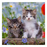 Ravensburger Jigsaw Puzzle Young Kätzchen, 3x49st. - afbeelding 2