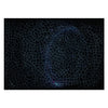 Ravensburger Jigsaw Puzzle Krypt Universe Glow, 881st.