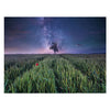 Ravensburger Jigsaw Puzzle Night Him.ber Dem Kornfeld, 1500st.
