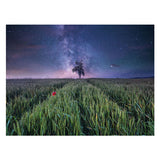 Ravensburger Jigsaw Puzzle Night Him.ber Dem Kornfeld, 1500st. - afbeelding 2