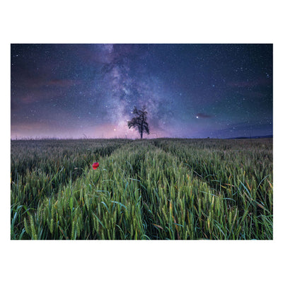 Ravensburger Jigsaw Puzzle Night Him.ber Dem Kornfeld, 1500st.