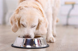 Happy Pet Food Bowl Anti -Slip - afbeelding 2