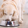 Happy Pet Food Bowl Anti -Slip