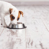Happy Pet Feeding Eimer Anti -Slip Spaniel