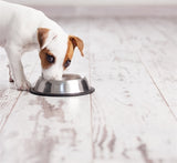 Happy Pet Feeding Eimer Anti -Slip Spaniel - afbeelding 2