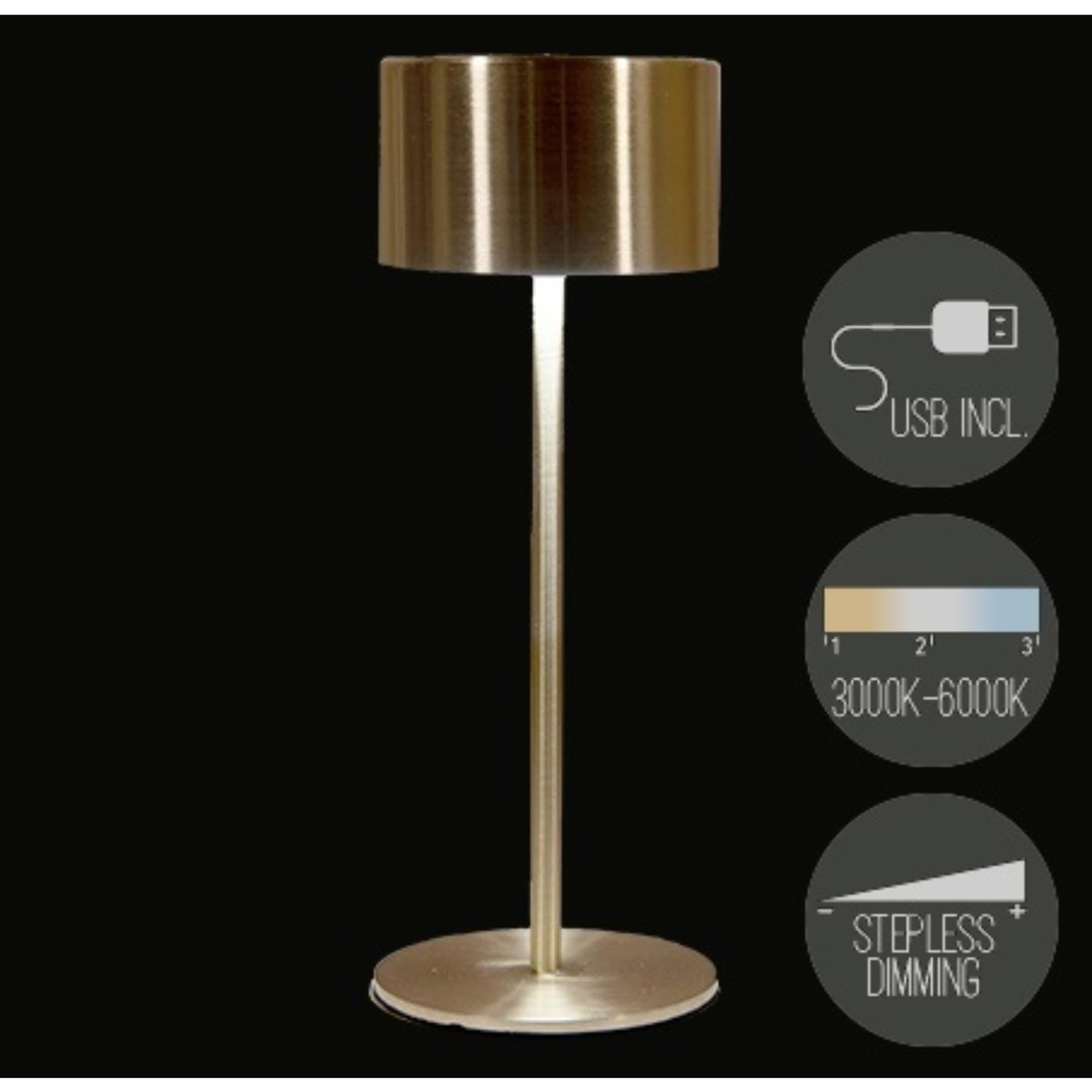 Anna's Collection wiederaufladbare Tischlampe USB Gold 8x22cm