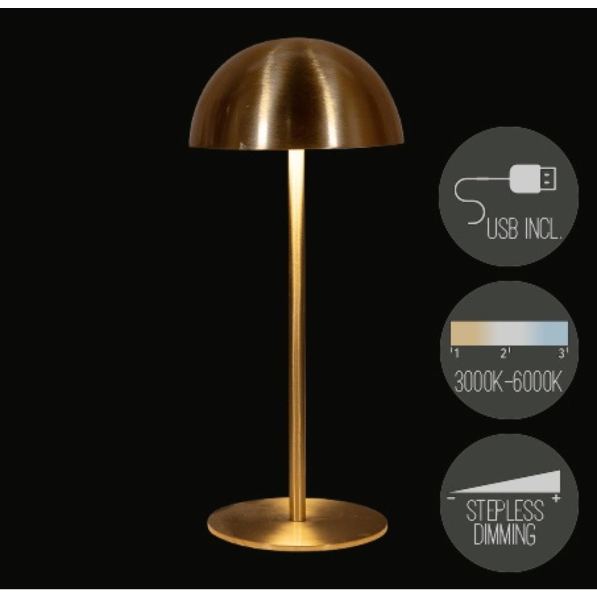 Anna's Collection wiederaufladbare Tischlampe USB Gold 9,5x22cm