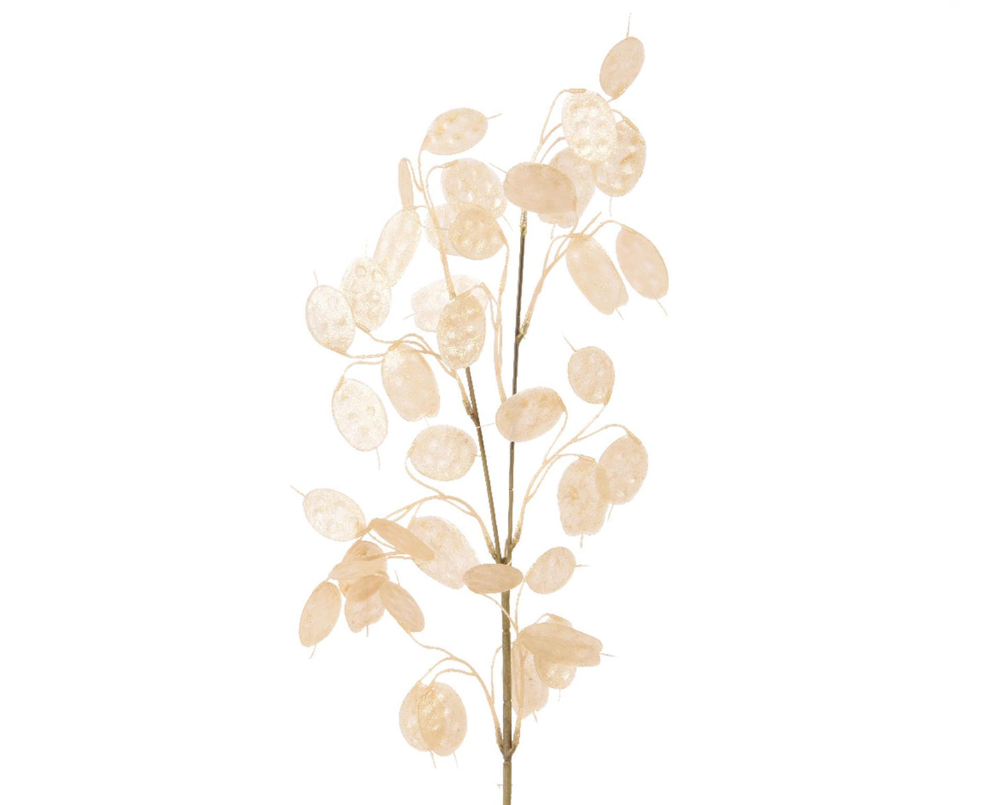 Decoris Kunstblume Silberdollar H76cm Perle