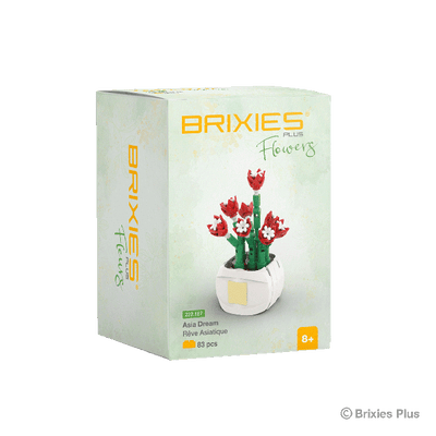 Oku Brixies Plus Flower Asia Dream Bausteine