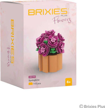 Oku Brixies plus Blumen-Frühlingsbausteine