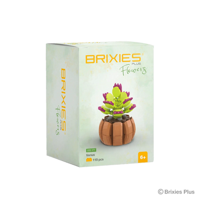 Oku Brixies plus Blumen-Venus-Bausteine, 119 Teile