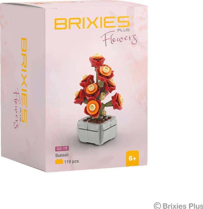 Oku Brixies plus Blumen-Sonnenuntergang-Blütenbausteine