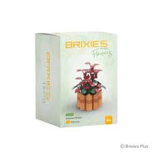 Oku Brixies plus Blumen-Herbstblüten-Bausteine