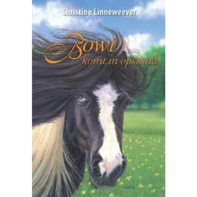 Kluitman Golden Horses Publisher: Bowi ist abgelehnt