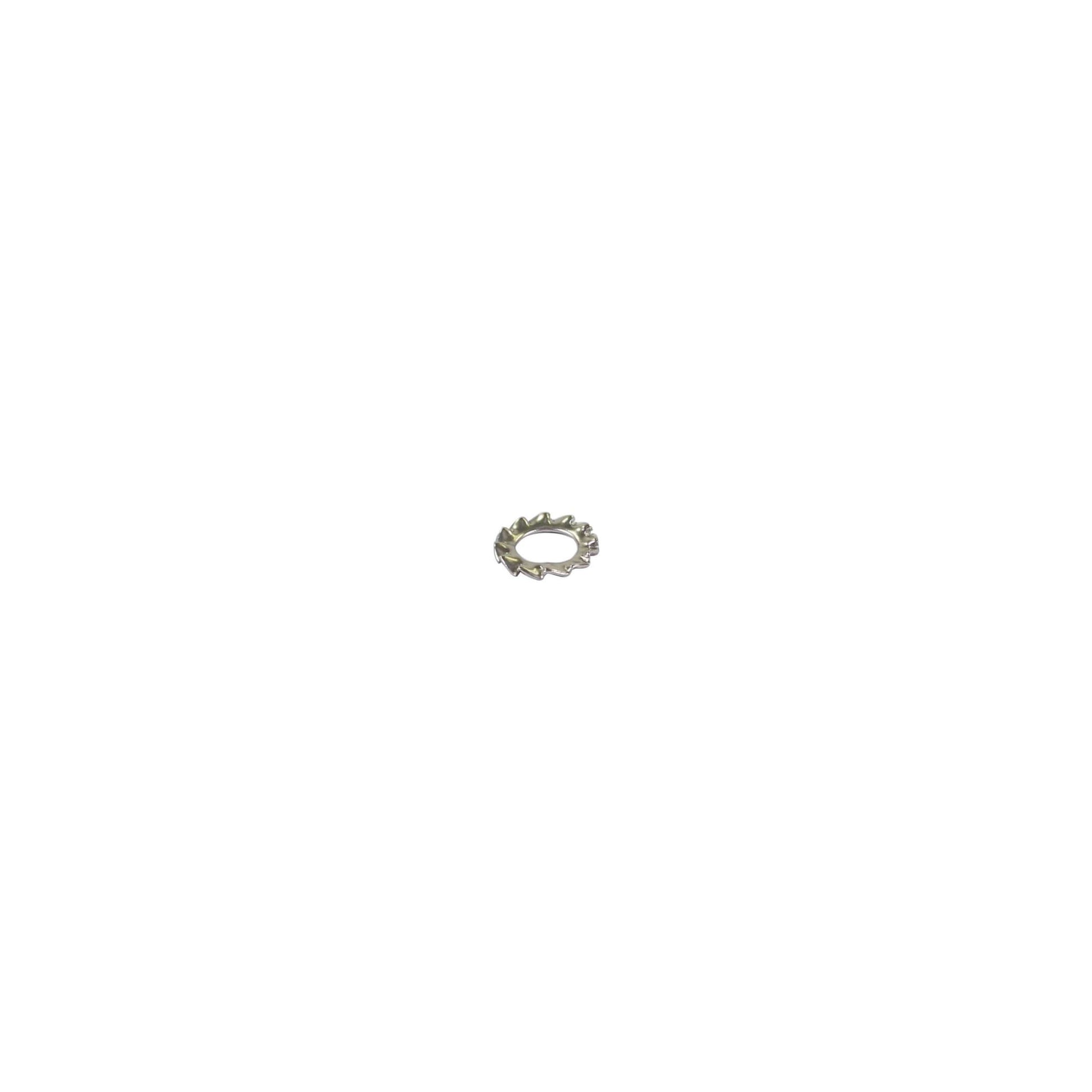 Bofix Fächerscheibe M6 aus Edelstahl (P100)