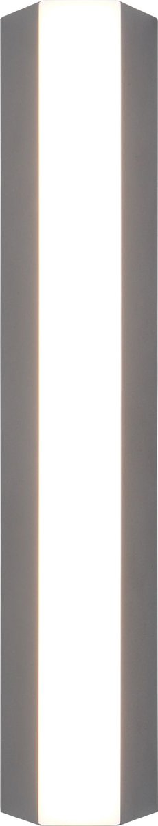 Trio Marne - Wandleuchte - Anthrazit - inkl. 1x SMD 8,5W - Außenbeleuchtung - IP65