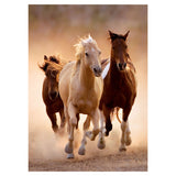 Clementoni Puzzle Horses, 1000st. - afbeelding 2