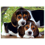 Clementoni Puzzle Hundefreunde, 500st. - afbeelding 2