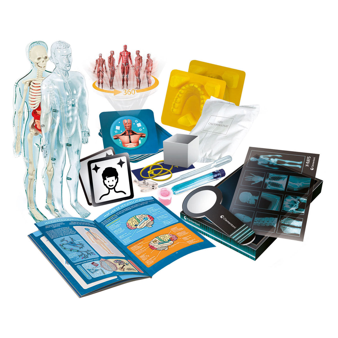 Clementoni Science und Game Super Anatomy