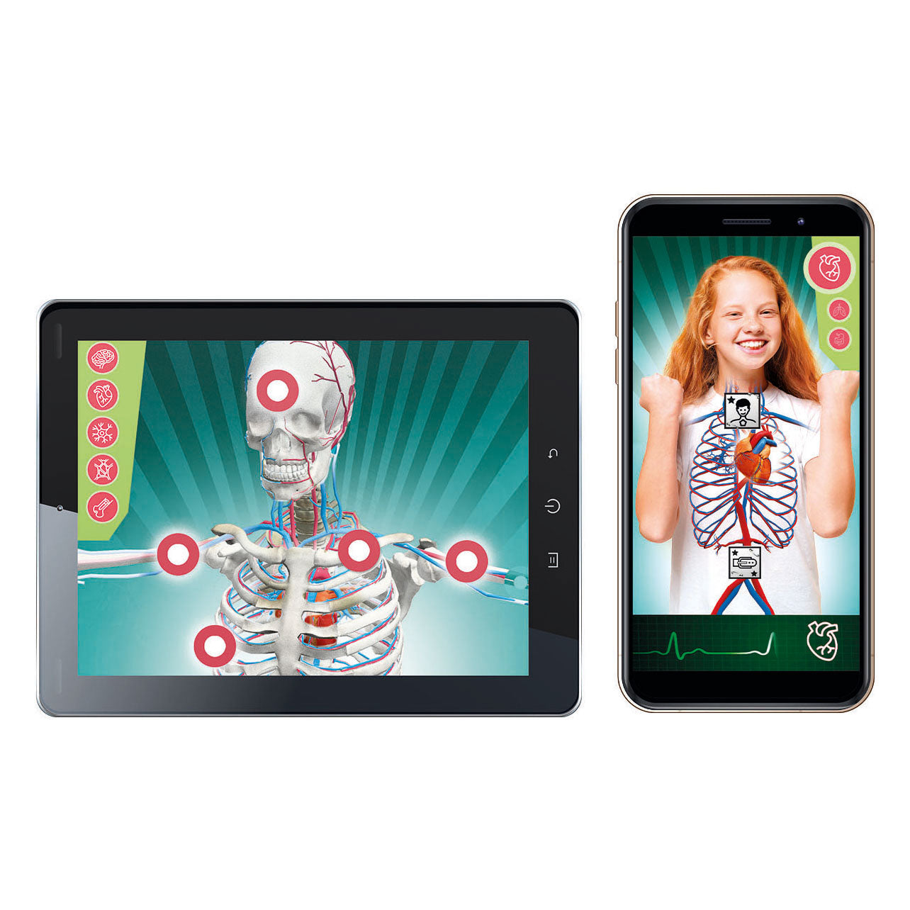 Clementoni Science und Game Super Anatomy