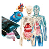 Clementoni Science und Game Super Anatomy