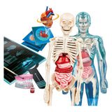 Clementoni Science und Game Super Anatomy - afbeelding 4