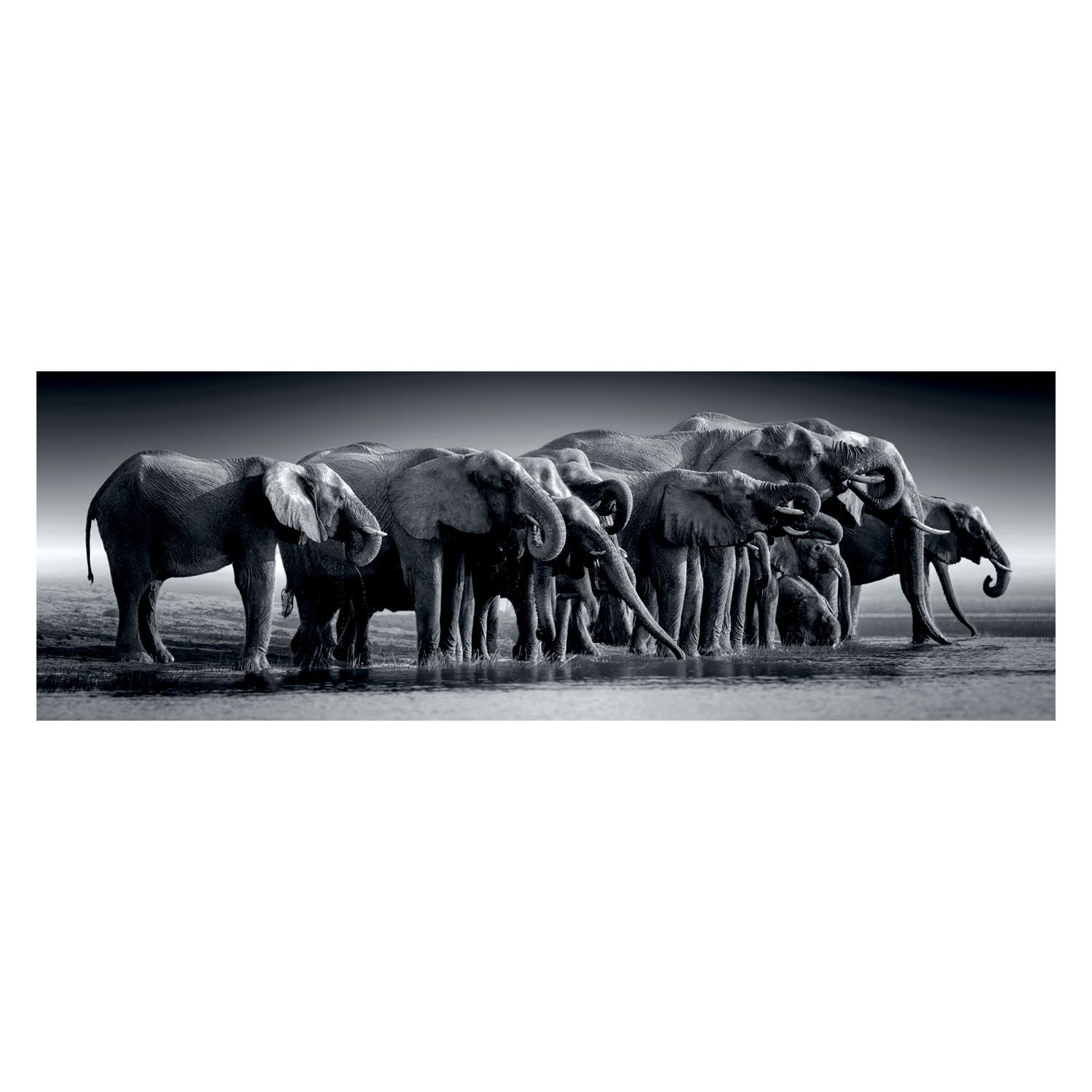 Clementoni Jigsaw Puzzle Panorama Herde oder Riesen, 1000st.