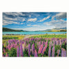 Clementoni Puzzle Blumen am Lake Tekapo, 1500st.