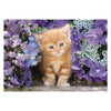 Clementoni Clemetoni Puzzle Ingwerkatze, 500st.