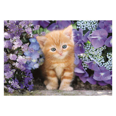 Clementoni Clemetoni Puzzle Ingwerkatze, 500st.