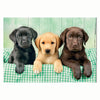 Clementoni Jigsaw Puzzle drei Labore, 1000st.